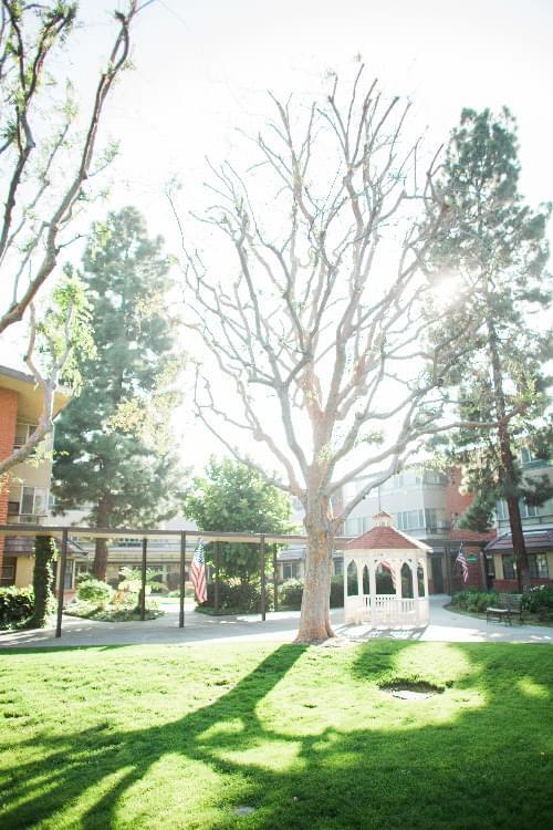 Rowntree Gardens Senior Living Community Assisted Living, Nursing